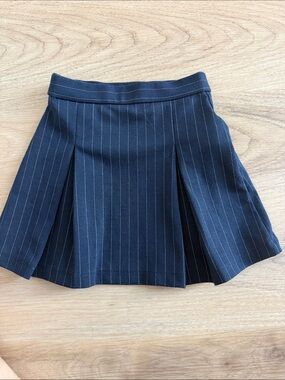 Zara Navy Pinstripe Pleated Skirt
